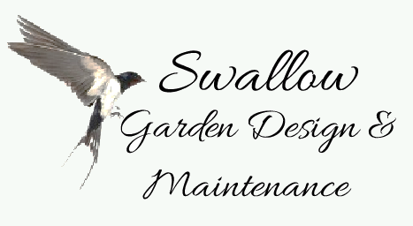 Swallow Garden Design